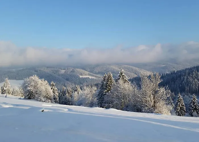 Pluskacka Alpstuga *